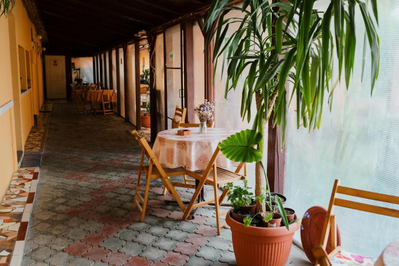 Vila Verona Sobe Палич Екстериор снимка